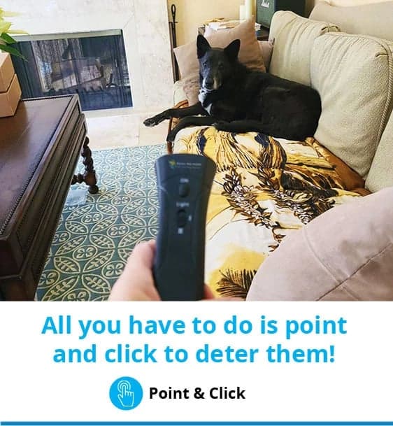 Point & Click