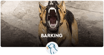 BARKING