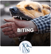 BITING