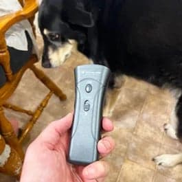 img1